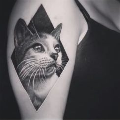 3 tatuajes de gatos para mujer negros y uno divertido