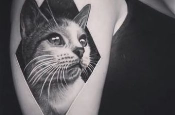 3 tatuajes de gatos para mujer negros y uno divertido