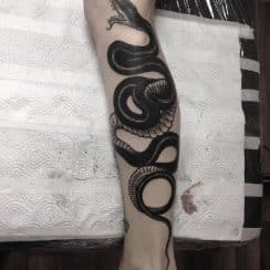 Negros tatuajes de serpientes en la pierna 2 simples