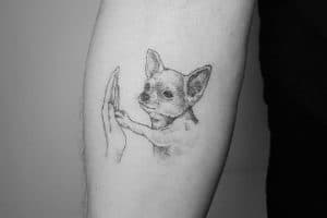 imagenes de tatuajes de perros chihuahuas