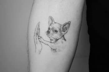 Mira estos adorables tatuajes de perros chihuahuas
