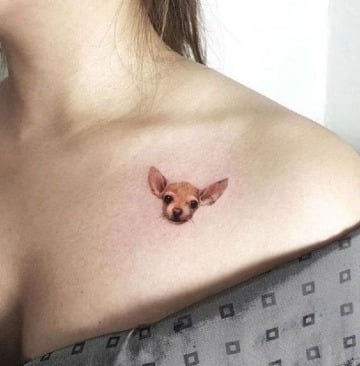 tatuajes de perros chihuahuas a color