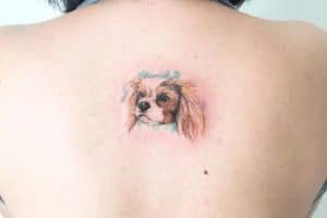 tatuajes de perros cocker en la espalda