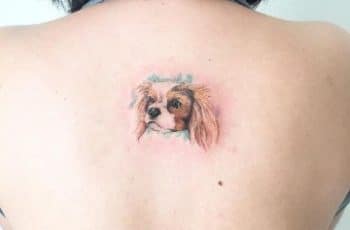 4 tiernos tatuajes de perros cocker