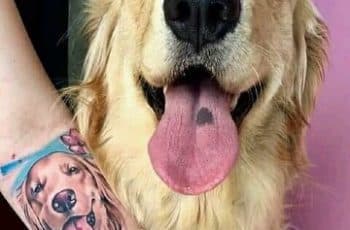 4 tatuajes de perros golden para amarlos aun más