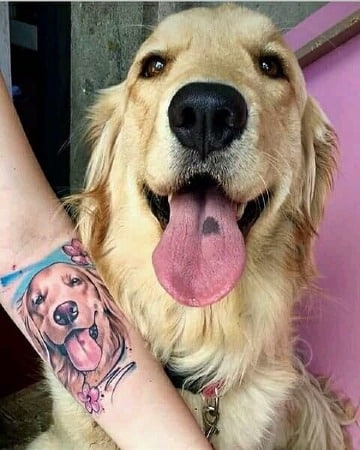 tatuajes de perros golden a color