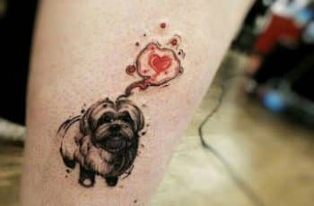 Mira que tiernos estos tatuajes de perros shitzu