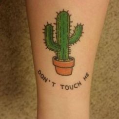 4 tatuajes de cactus y suculentas para fans de las plantas