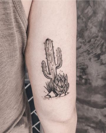 tatuajes de cactus y suculentas en el brazo