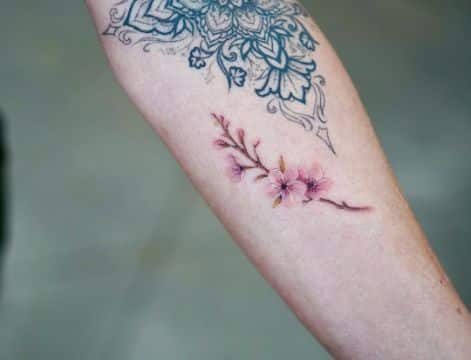 tatuajes de ramas de cerezo pequeño
