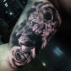 3 realistas tatuajes de leon en el brazo texturas diversas