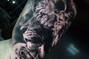 tatuajes de leon en el brazo magnificos sombreados