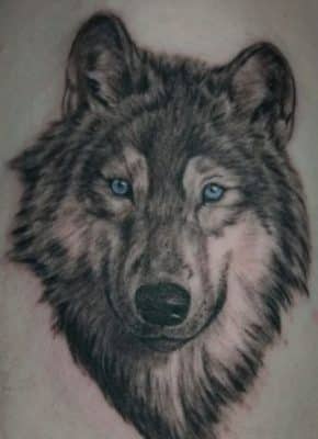 tatuajes de lobos siberianos retrato