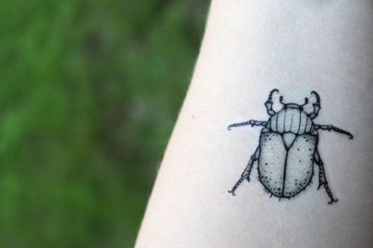 tatuajes de escarabajos para hombres pequeño con detalles