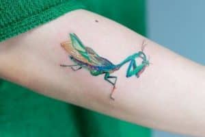 tatuajes de mantis religiosa relista y colorido