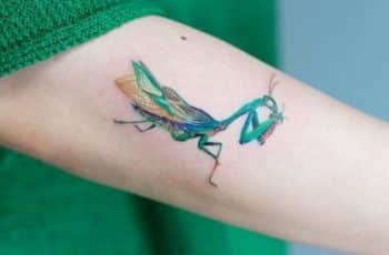 3 conceptos para tatuajes de mantis religiosa originales