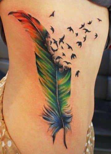 tatuajes de plumas con pajaros a colores
