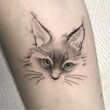 tatuajes de caras de gatos dotwork sin contorno