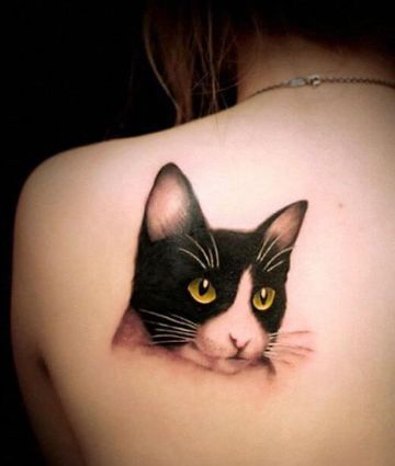 tatuajes de caras de gatos fotoretrato