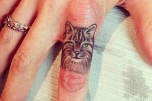 tatuajes de caras de gatos pequeños con alto detalle