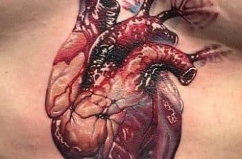 2 estilos en tatuajes de corazon humano en tendencia