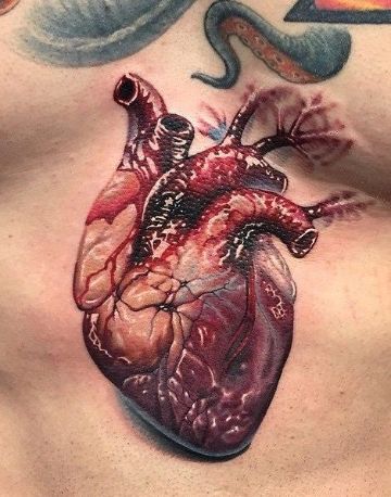 tatuajes de corazon humano realista