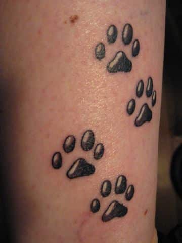 tatuajes de huellas de perro y gato brillos originales