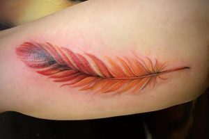 significado de tatuajes de plumas excelente colorido