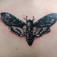 Originales tatuajes de mariposas para hombres a 3 estilos