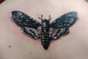 tatuajes de mariposas para hombres con esqueleto