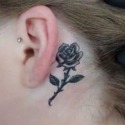 Un tatuaje rosa detras de la oreja en 3 estilos