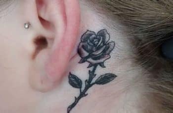 Un tatuaje rosa detras de la oreja en 3 estilos