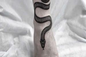 tatuajes de víboras en la pierna proporción