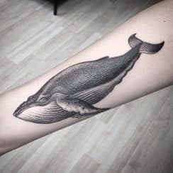 4 tatuajes de ballenas para mujer altamente simbólicos