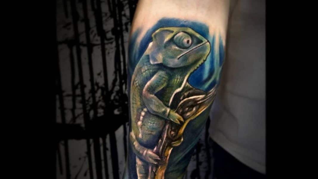 tatuajes de camaleones para hombre fondos para contraste