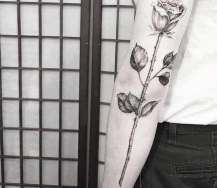 tatuajes de rosas sombreadas con un largo tallo