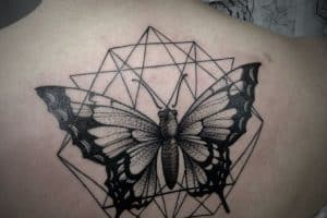 significado de tatuarse una mariposa fondo