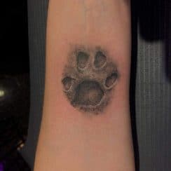 Tiernos tatuajes de patitas de gato de homenaje 2021