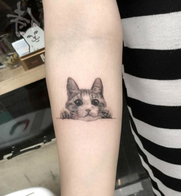 tatuajes de gatos sencillos realistas
