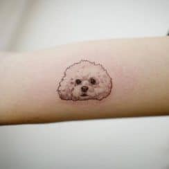 Tiernos tatuajes de perritos french poodle 2 efectos