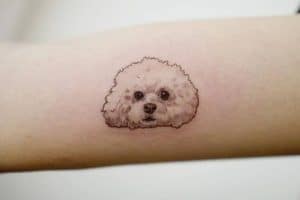 tatuajes de perritos french poodle microrealista