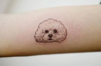 Tiernos tatuajes de perritos french poodle 2 efectos