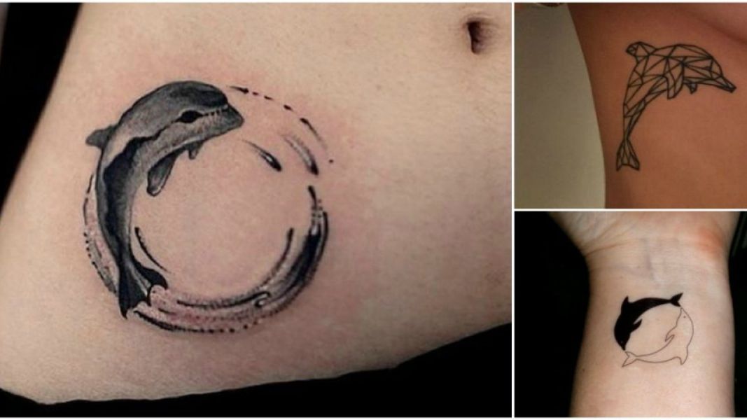 tatuajes de delfines significado conceptos