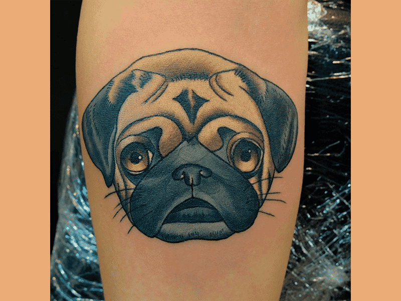 tatuajes de perros pug a color