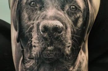 4 sorprendentes tatuajes de animales realistas en el brazo