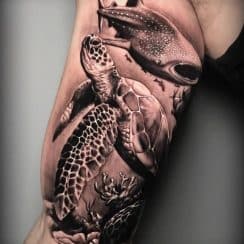 Detalle en tatuajes de animales marinos en 2 formatos