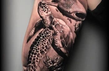 Detalle en tatuajes de animales marinos en 2 formatos