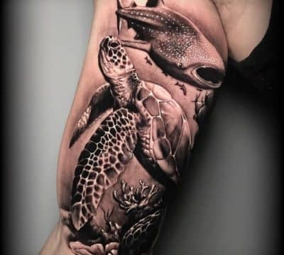 tatuajes de animales marinos realismo