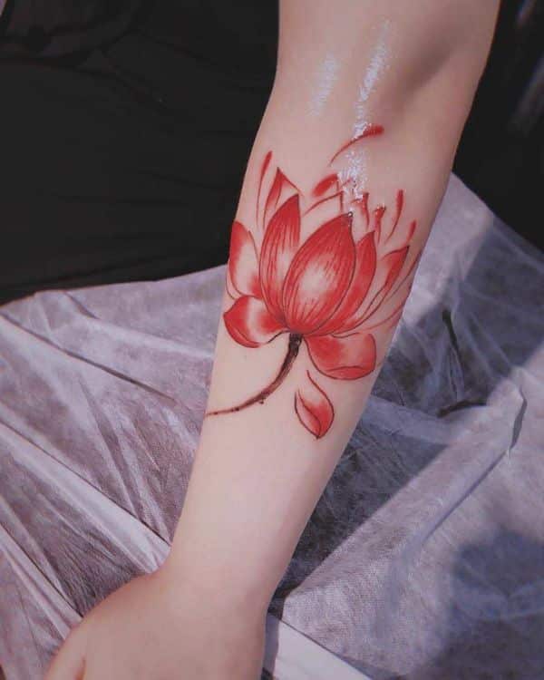 flor de loto roja tatuaje delineados tenues