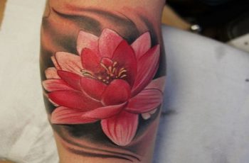 La flor de loto roja tatuaje significativo en 5 posiciones